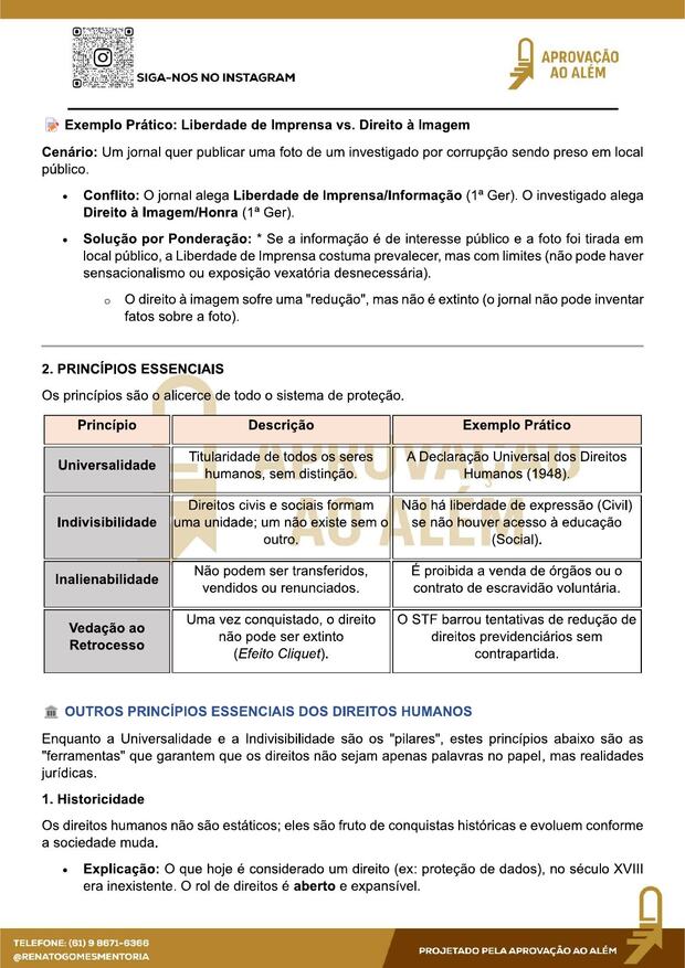 Amostra do resumo de Direitos Humanos — Princípios essenciais em tabela